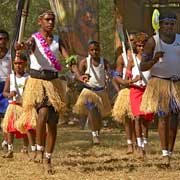 Top Western dancers