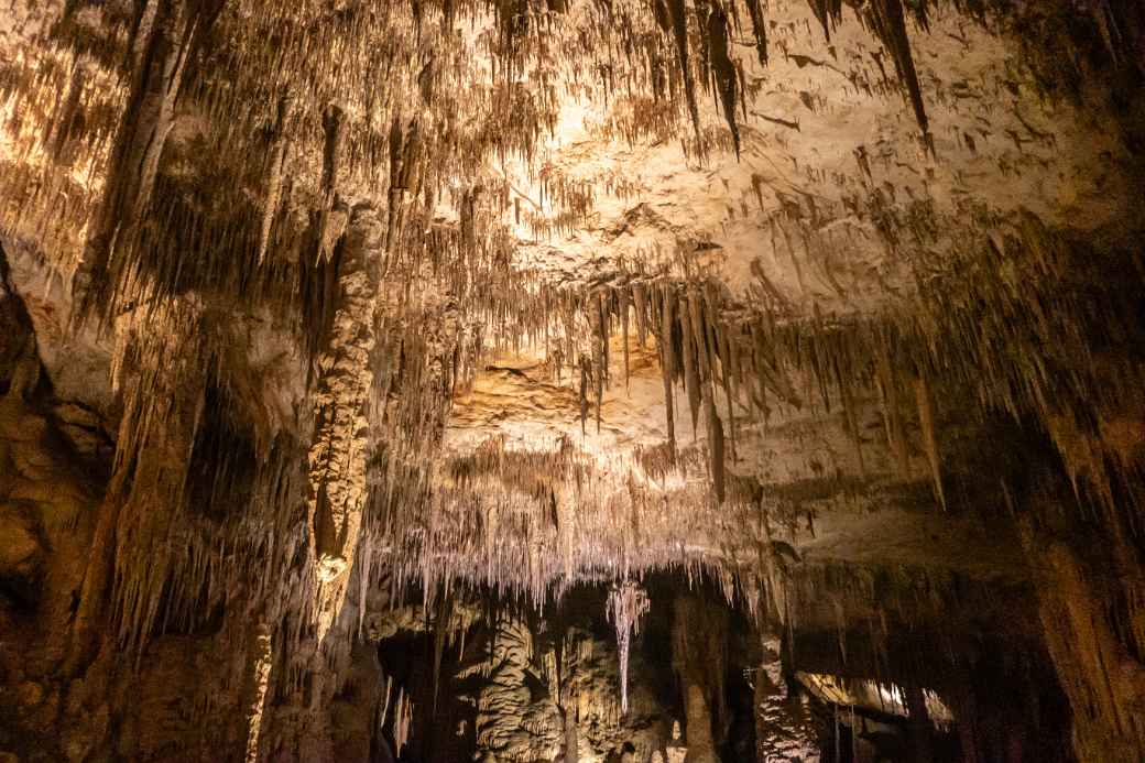 Stalactites, Mammoth Cave