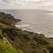 Cape Naturaliste view