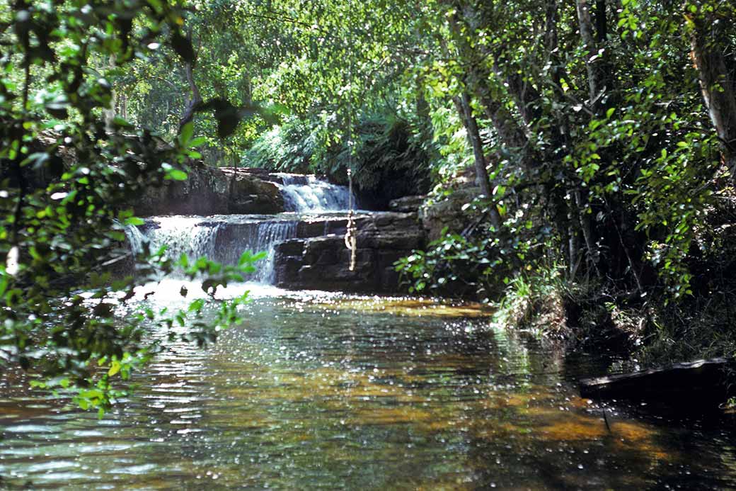 Pickertaramoor Falls