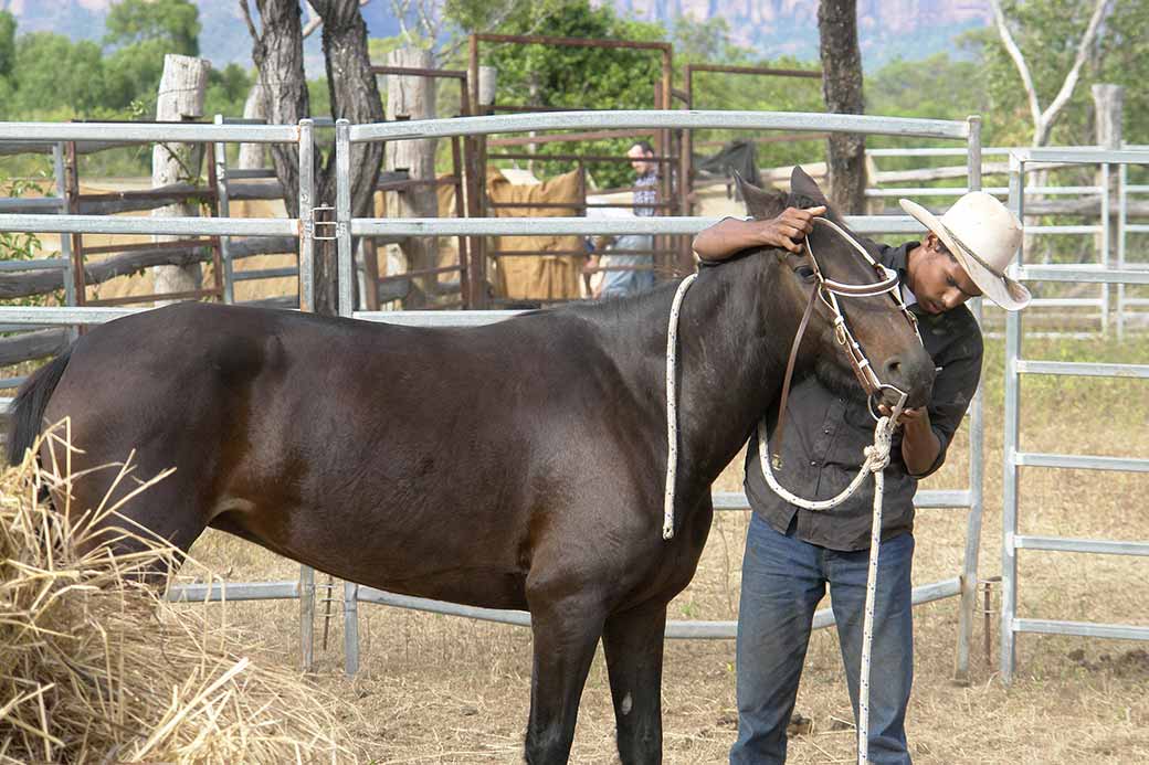 Stockmen and horses