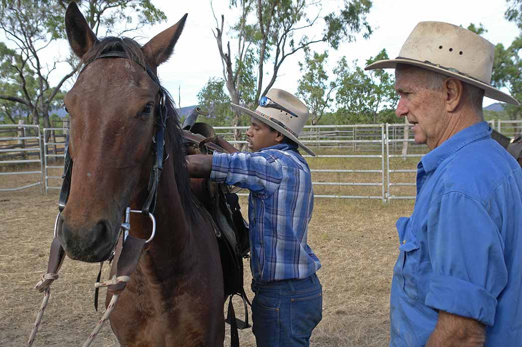 Saddling a horse