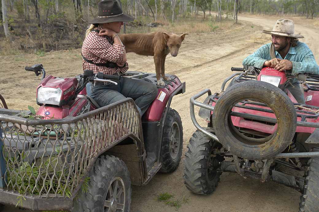 Stockworkers on quad bikes