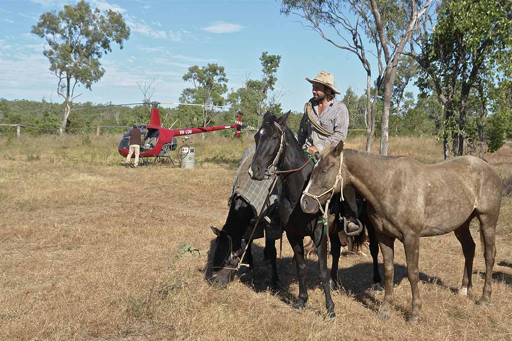 Horses and chopper