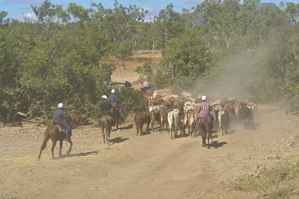 Along the dusty road