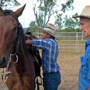 Saddling a horse