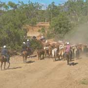 Along the dusty road