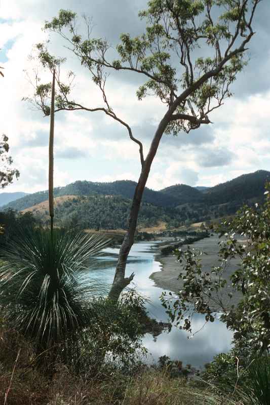 View from Cangai Bluff