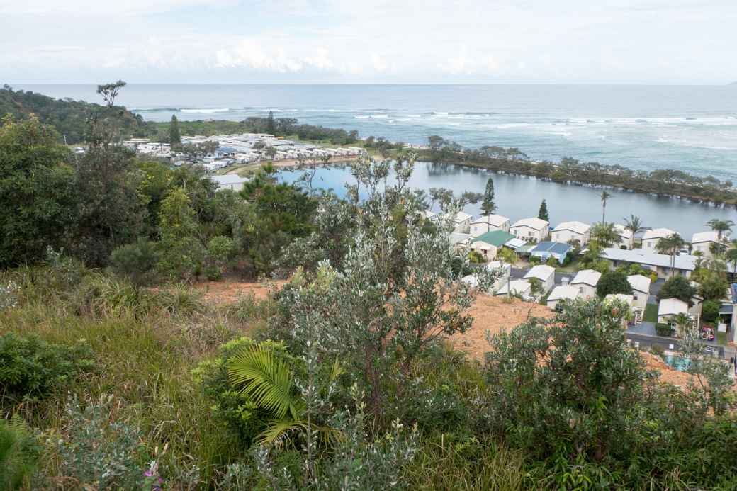 View, White Albatross holiday park