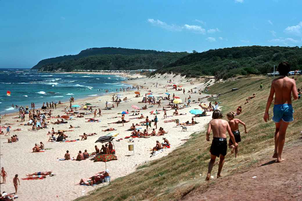 Shelley Beach