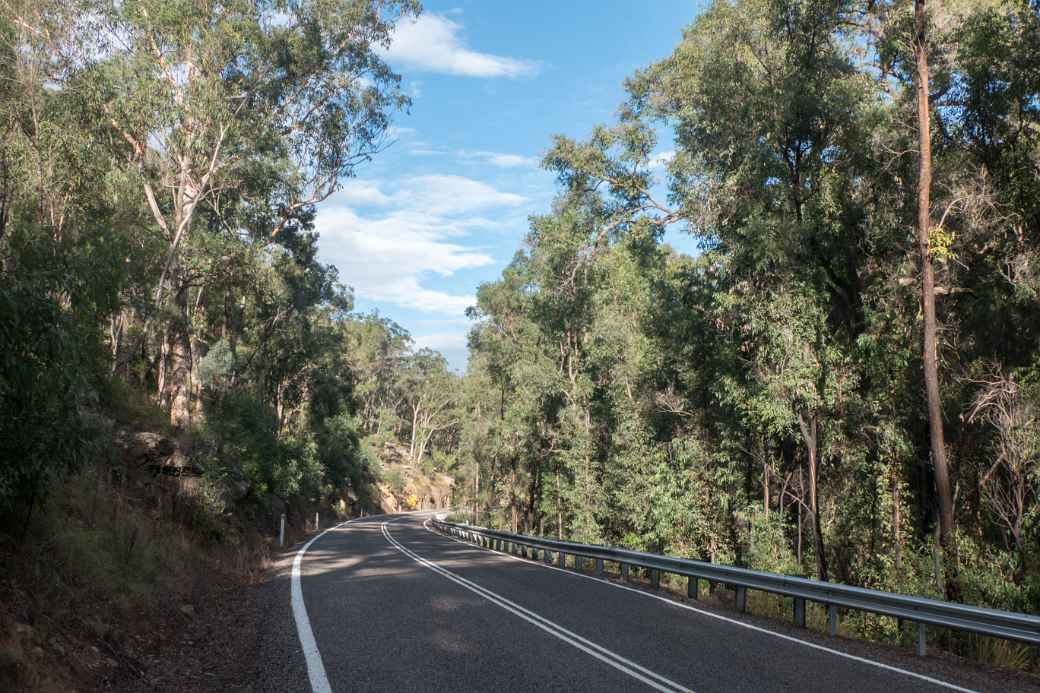 Between Yengo and Wollemi National Parks