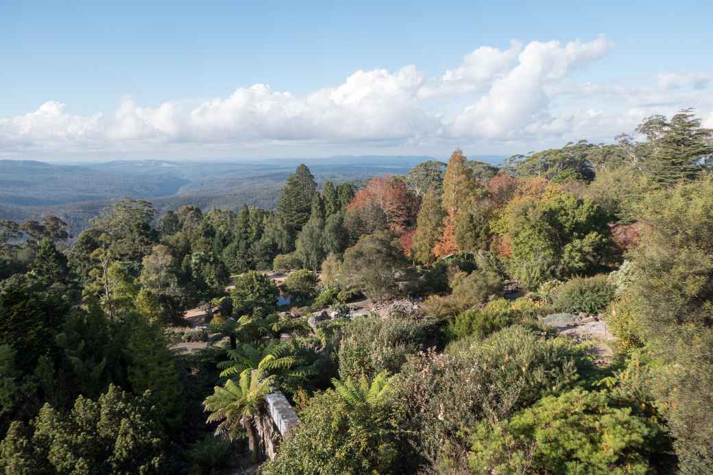 Blue Mountains Botanic Garden