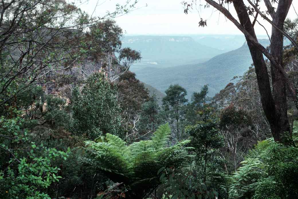 Near Wentworth Falls