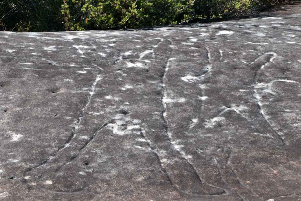 Aboriginal Petroglyphs