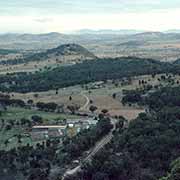 Between Tamworth and Armidale