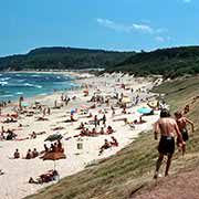 Shelley Beach