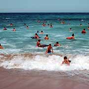 In the surf off Shelley Beach