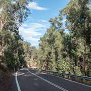 Between Yengo and Wollemi National Parks