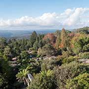 Blue Mountains Botanic Garden