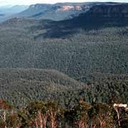 Blue Mountains