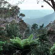 Near Wentworth Falls