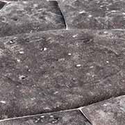 Aboriginal Petroglyphs