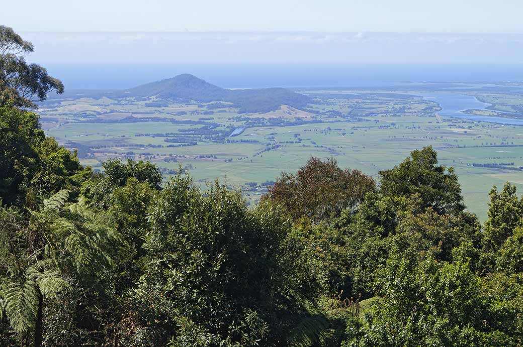 View to Coolangatta Mountain