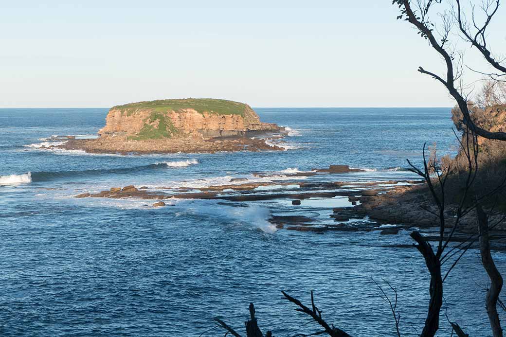 View of Grasshopper Island