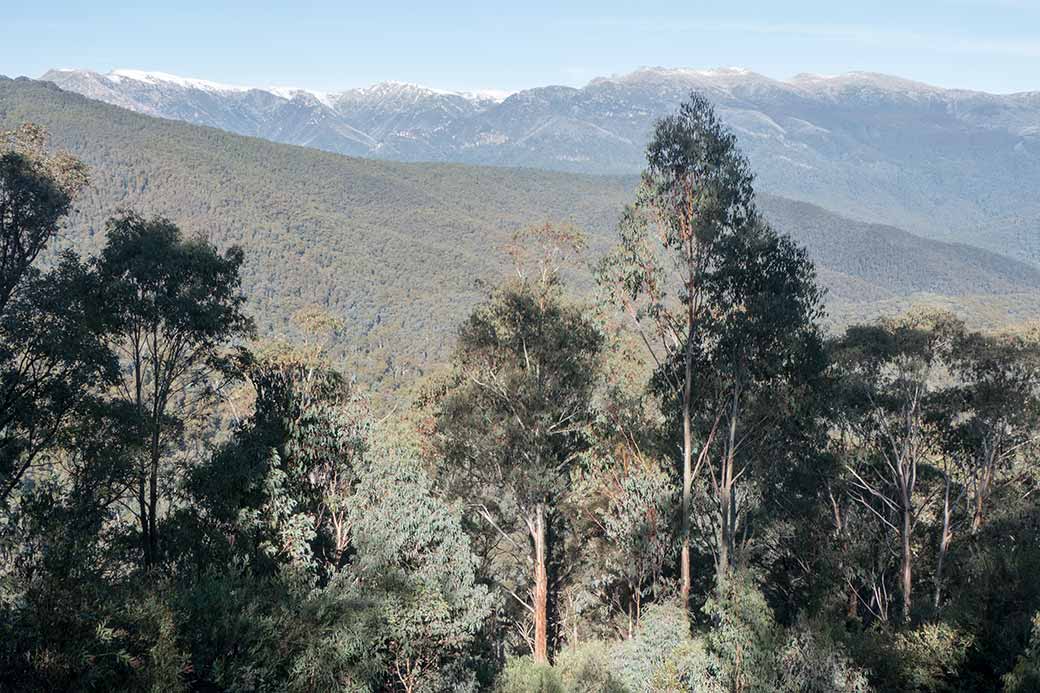 View at Scammel's Lookout