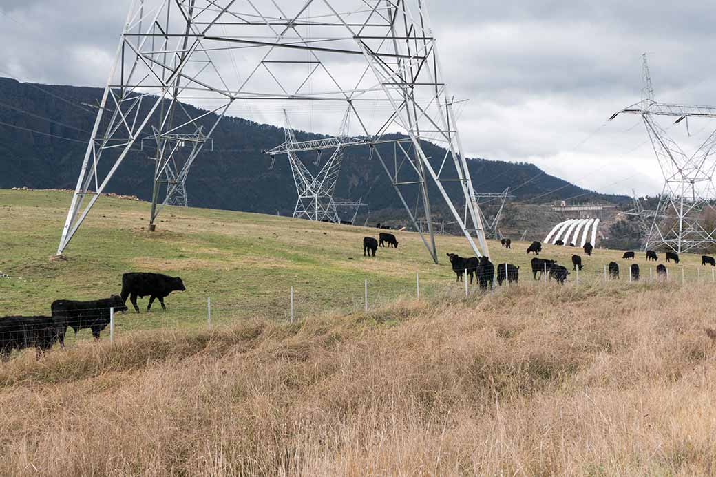 Electricity pylons, Talbingo