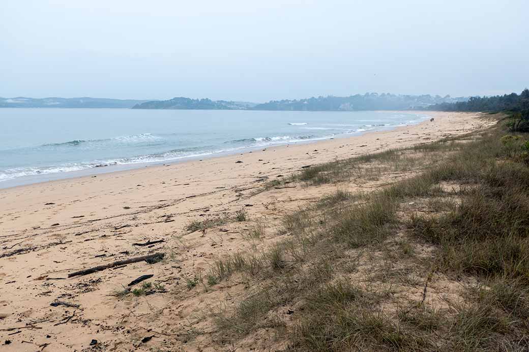 Beach in Eden