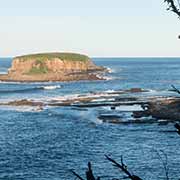 View of Grasshopper Island