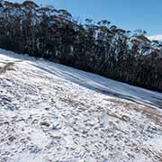 Snowfield, Thredbo