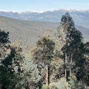 View at Scammel's Lookout