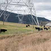 Electricity pylons, Talbingo