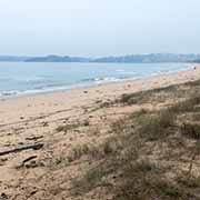 Beach in Eden