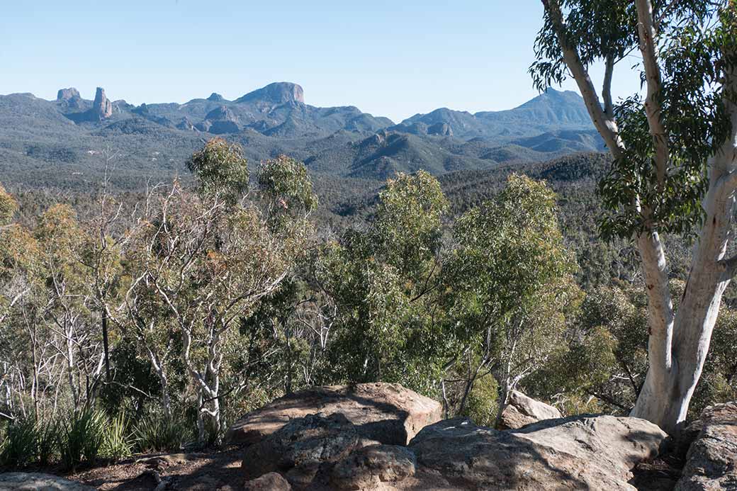 View, Whitegum Track, Warrumbungle National Park