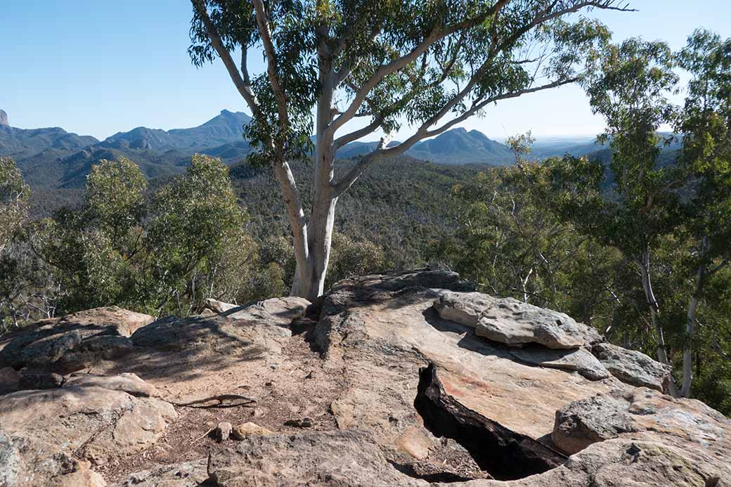 View, Whitegum Track, Warrumbungle NP