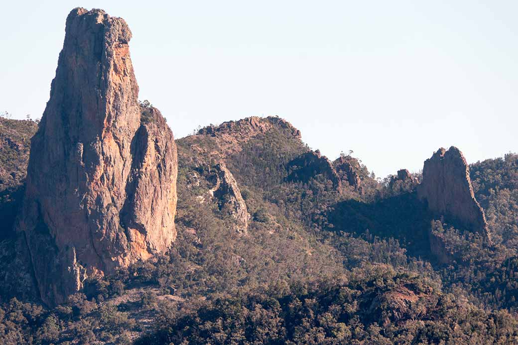 View, Whitegum Track, Warrumbungle NP