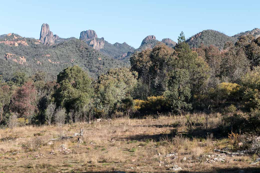 View from Warrumbungles Visitor Centre