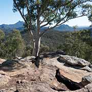 View, Whitegum Track, Warrumbungle NP