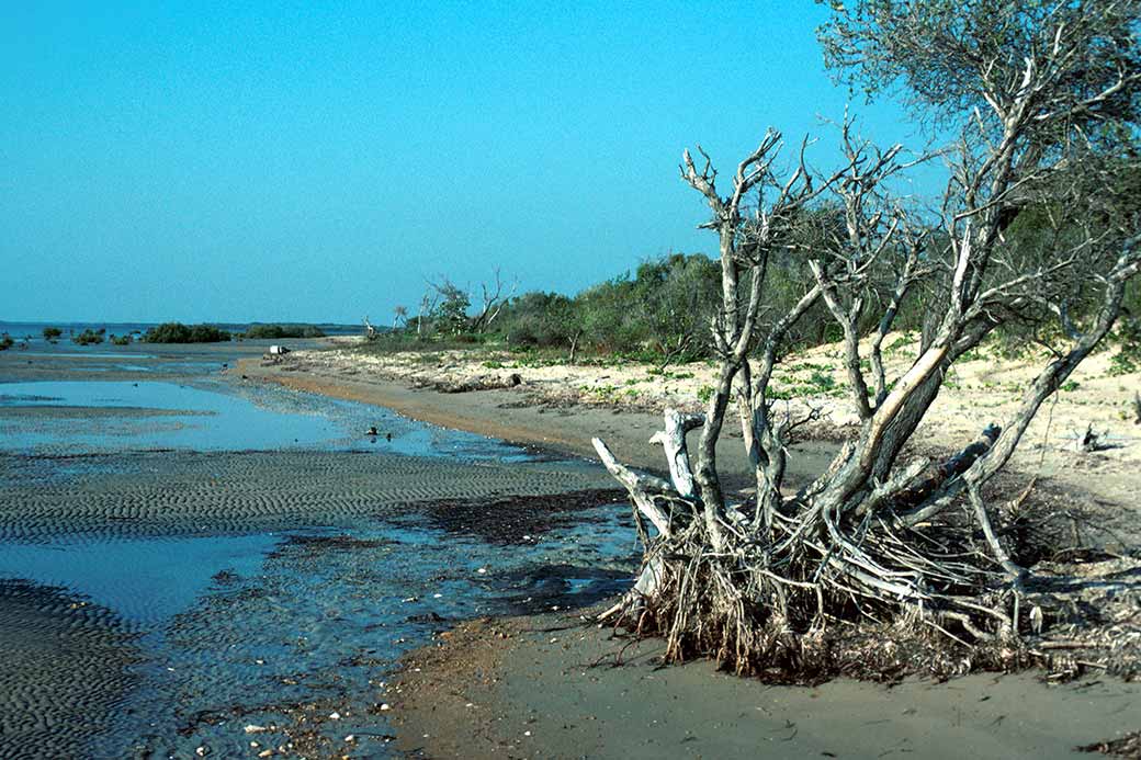 Numbulwar beach