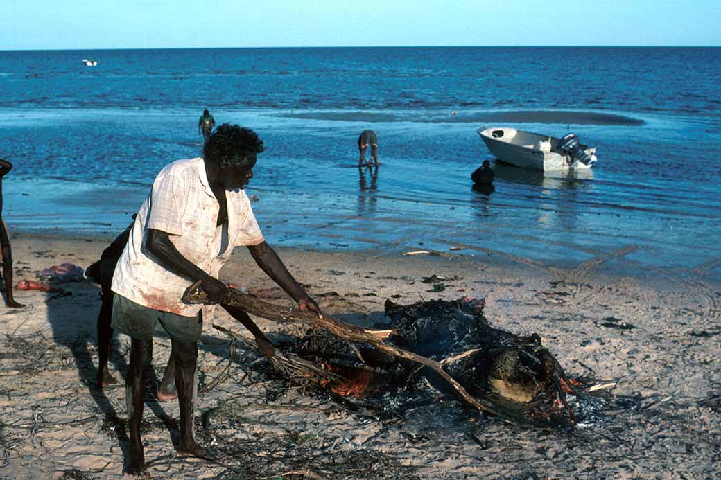 Cooking a turtle