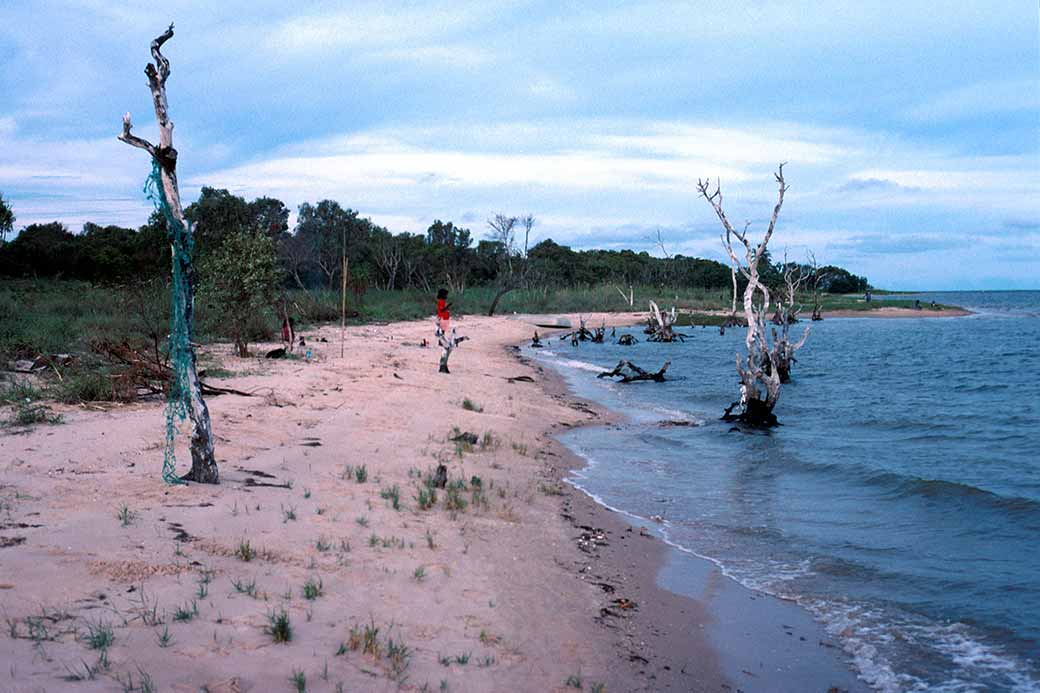 Carpentaria coast