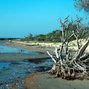 Numbulwar beach