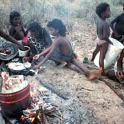 Boiling a ray