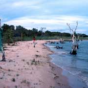 Carpentaria coast