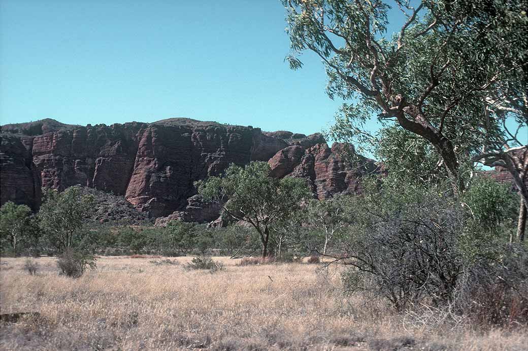 Road to Echidna Chasm