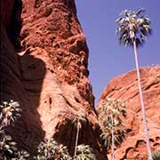 Echidna Chasm