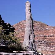 Termite mound